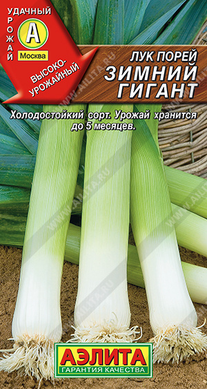 Зимний гигант