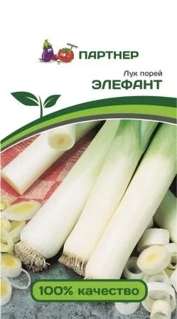 Миниатюра изображения сорта Элефант МС