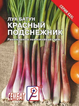 Красный подснежник