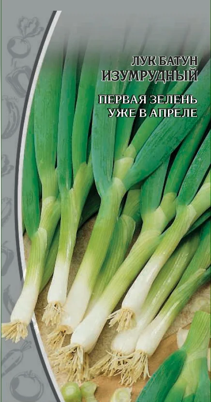 Миниатюра изображения сорта Изумрудный