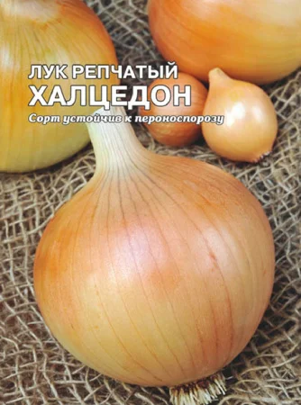 Миниатюра изображения сорта Халцедон