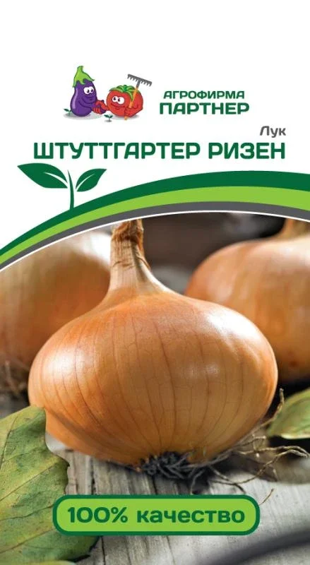 Миниатюра изображения сорта Штуттгартер ризен