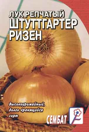 Миниатюра изображения сорта Штуттгартер ризен