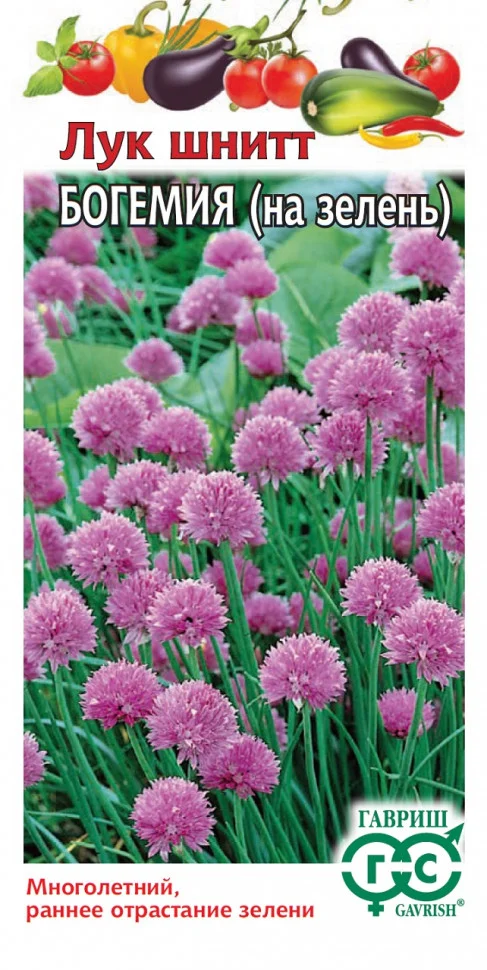 Миниатюра изображения сорта Богемия