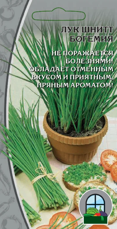 Миниатюра изображения сорта Богемия