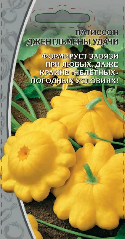 Джентельмены удачи