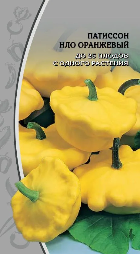 Миниатюра изображения сорта НЛО Оранжевый