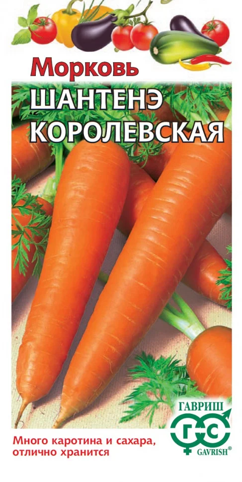 Шантенэ королевская 