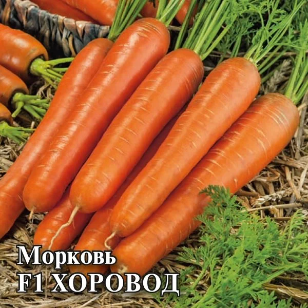 Хоровод