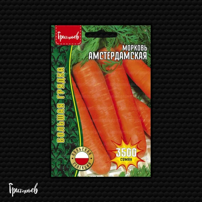 Амстердамская