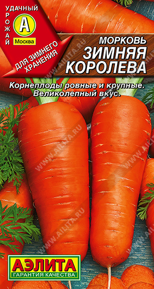 Зимняя королева