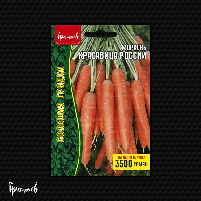 Красавица России