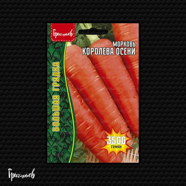 Миниатюра изображения сорта Королева осени