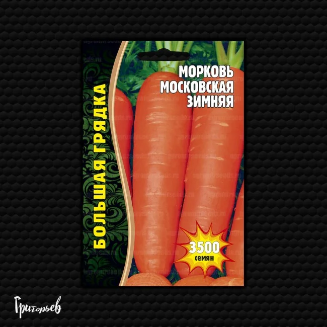 Московская Зимняя