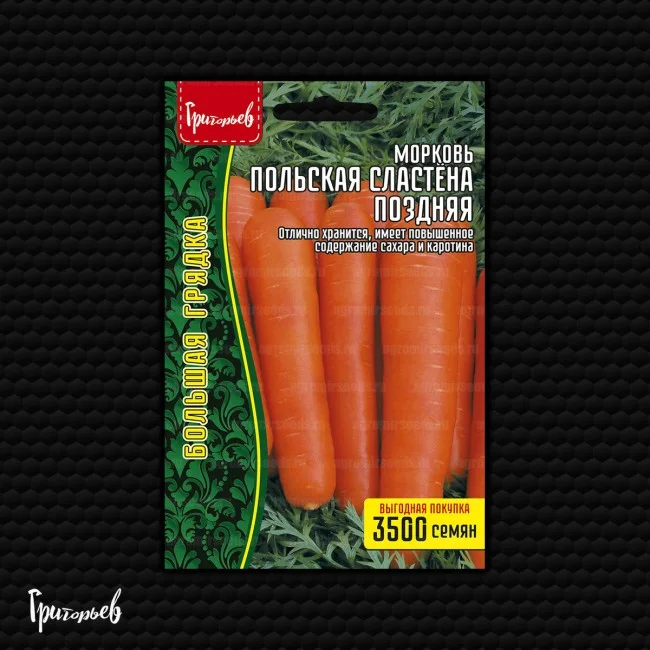 Польская сластёна поздняя