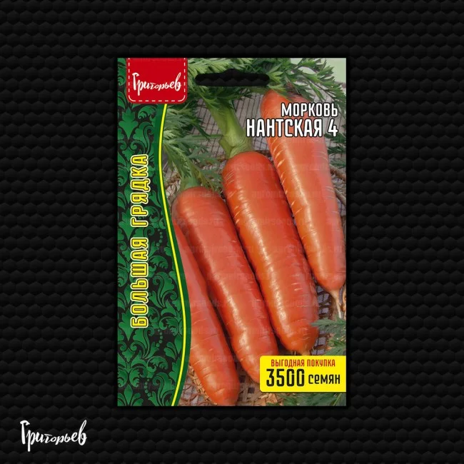 Миниатюра изображения сорта Нантская 4