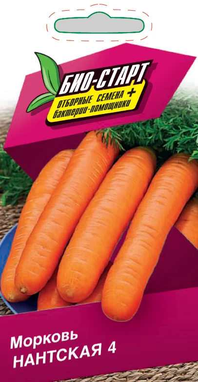 Миниатюра изображения сорта Нантская 4