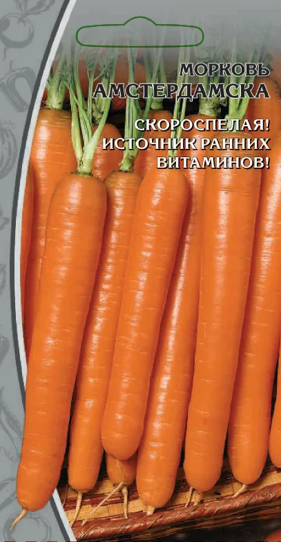 Миниатюра изображения сорта Амстердамска