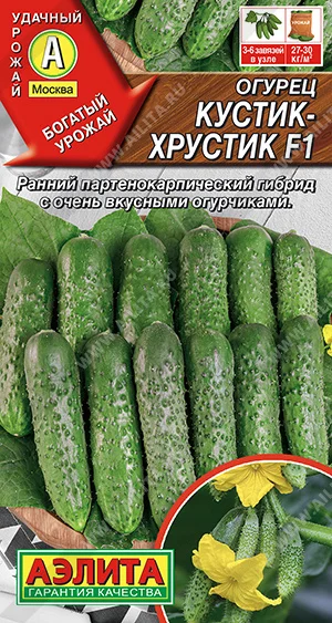 Кустик-хрустик