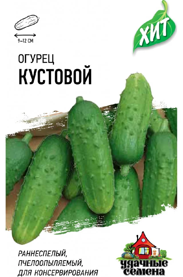 Кустовой