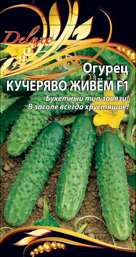 Кучеряво живем