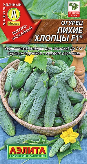 Лихие хлопцы