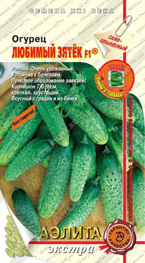 Любимый зятек