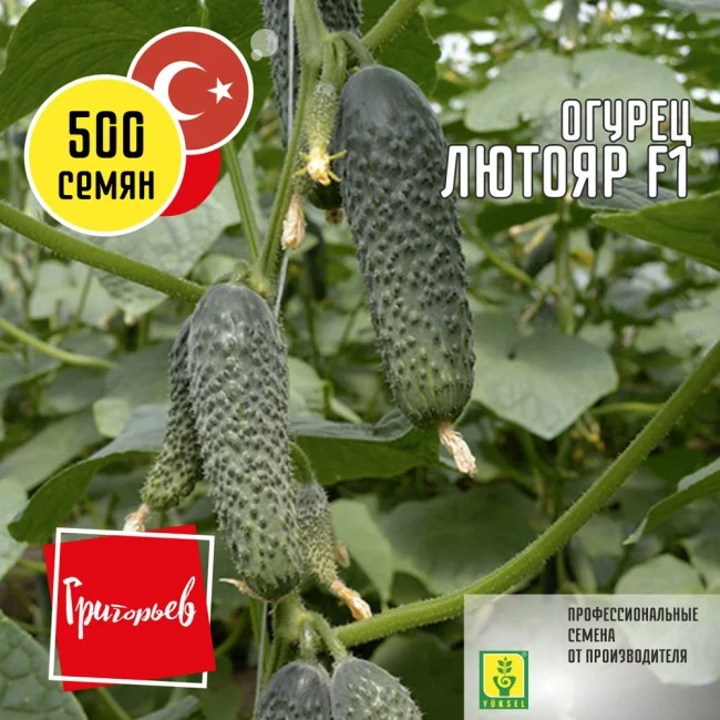 Миниатюра изображения сорта Лютояр