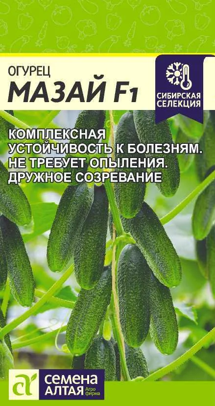 Миниатюра изображения сорта Мазай