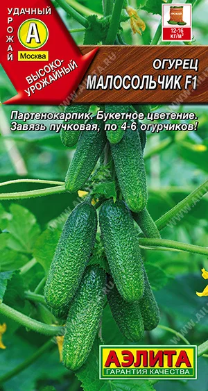 Малосольчик