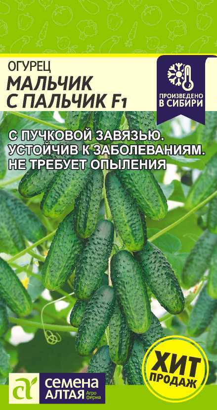 Миниатюра изображения сорта Мальчик с пальчик