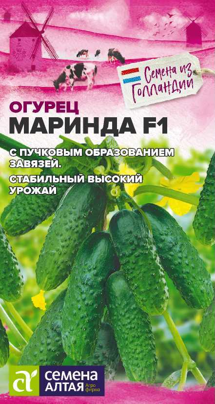 Миниатюра изображения сорта Маринда