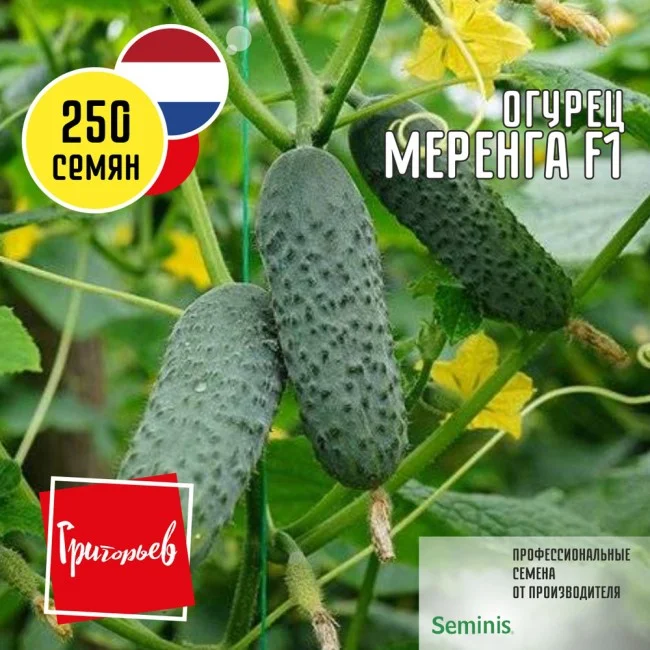 Миниатюра изображения сорта Меренга