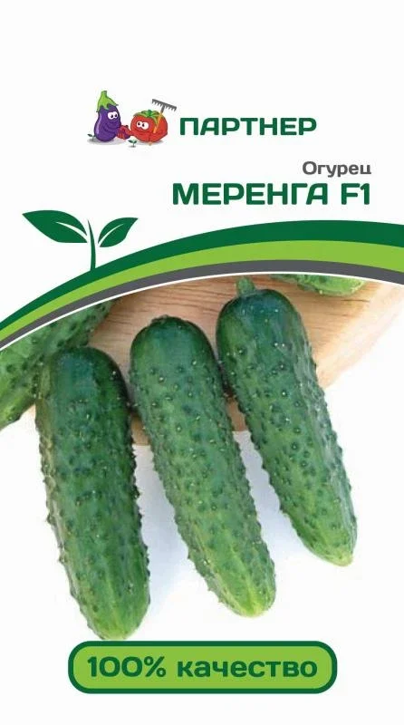 Миниатюра изображения сорта Меренга