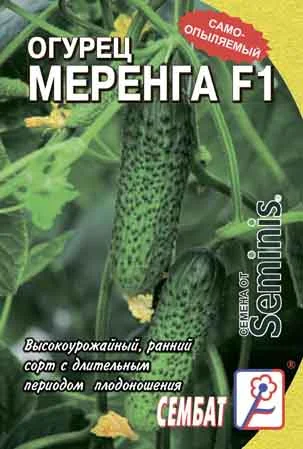 Миниатюра изображения сорта Меренга