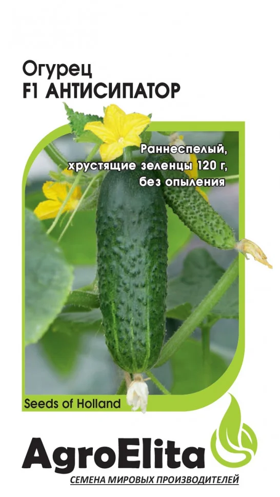 Антисипатор