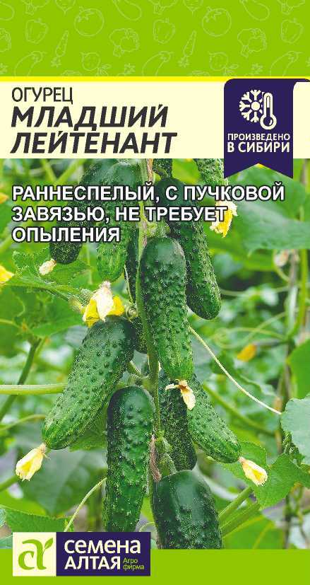 Младший лейтенант