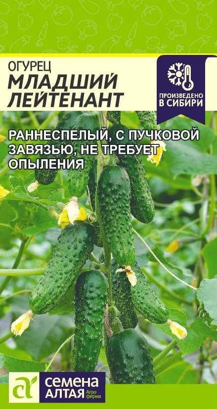 Миниатюра изображения сорта Младший лейтенант