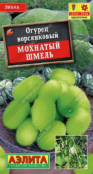 Мохнатый шмель