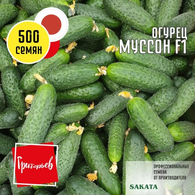 Миниатюра изображения сорта Муссон