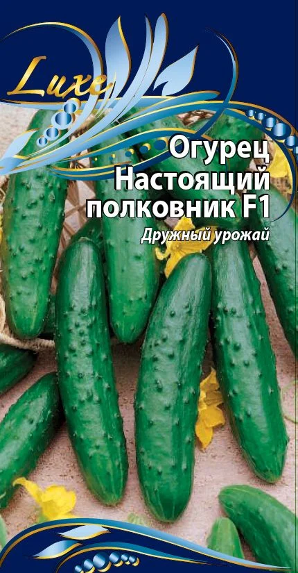 Настоящий полковник