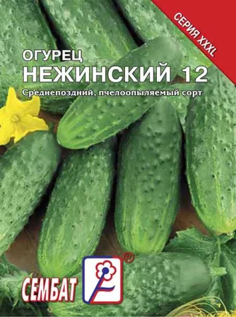 Миниатюра изображения сорта Нежинский