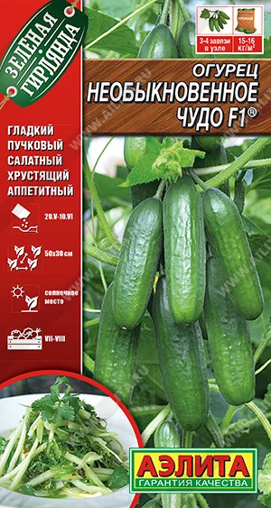 Необыкновенное чудо