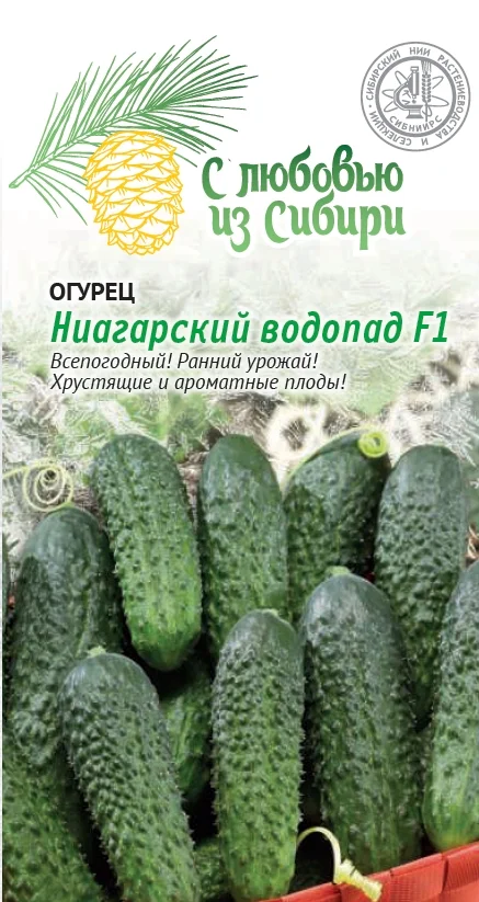 Ниагарский водопад