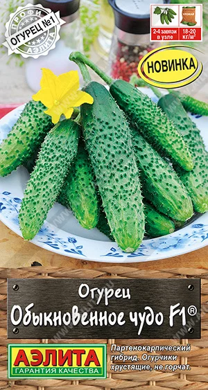 Один в один