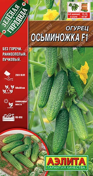 Осьминожка