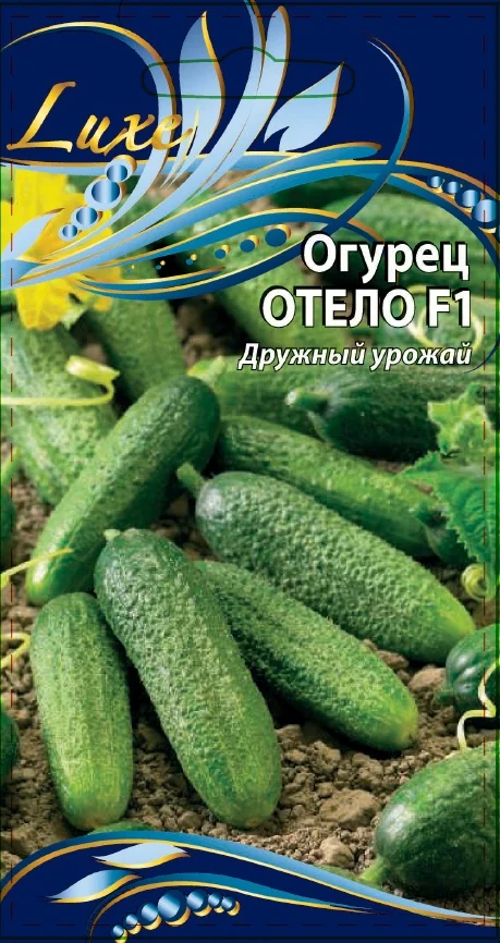 Миниатюра изображения сорта Отело