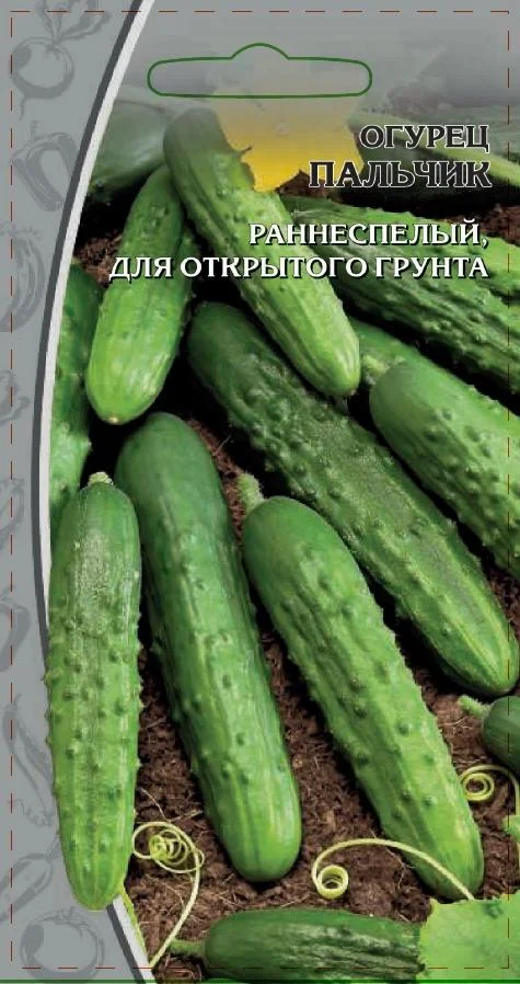 Миниатюра изображения сорта Пальчик