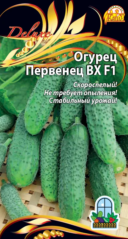 Первенец ВХ