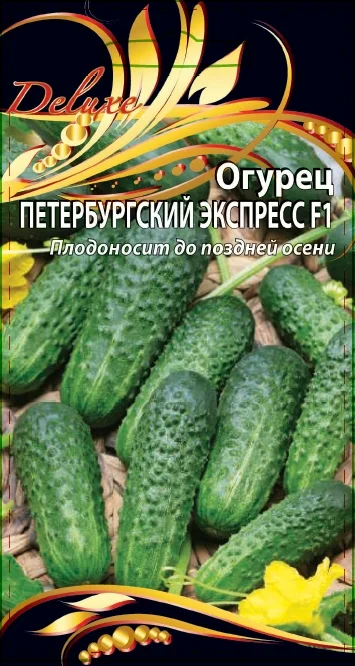 Петербургский экспресс